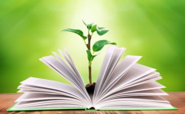 小学二年级下册教学工作计划5篇