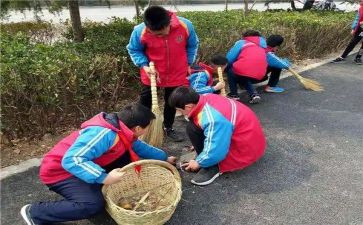 小学学雷锋活动总结参考7篇