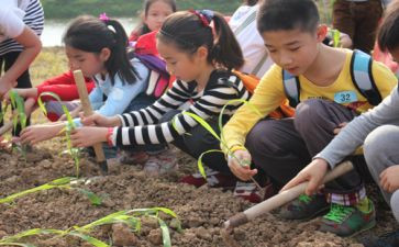 学农心得体会推荐5篇