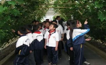 学上活动的心得体会优质5篇
