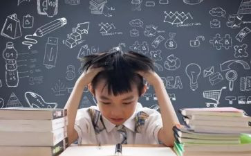 2024大学生心得体会范文模板5篇