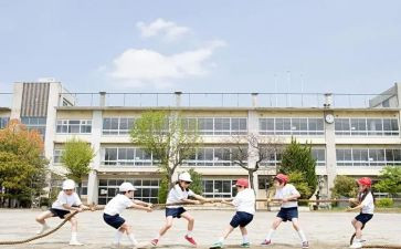 大学生自我评价800字7篇