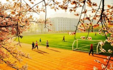 学校调研报告范文8篇