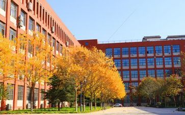 学校42活动方案通用8篇