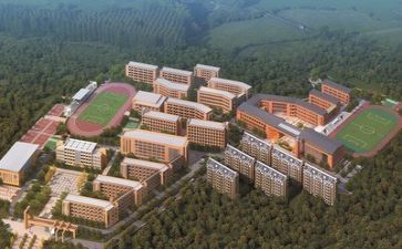教师述职报告学校总结6篇