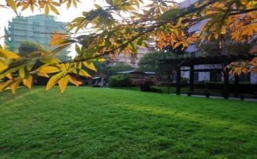 学校财务室年度工作总结最新6篇