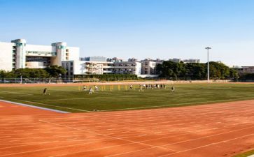学校财务年终工作总结范文8篇