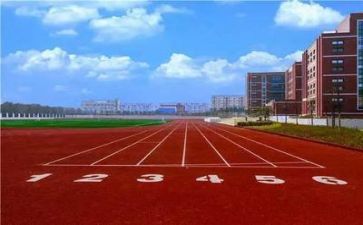 学校心得体会优秀6篇