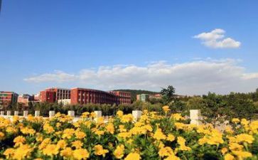学校处工作计划7篇