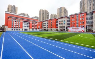 学校举行活动给活动方案5篇