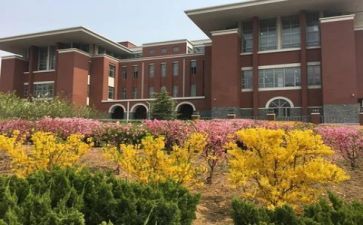 学校心得体会5篇