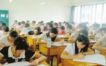 小学业务校长述职报告7篇
