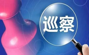 巡察述职报告5篇