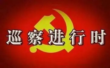 村巡察工作总结6篇