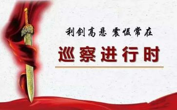 巡察干部述职述廉报告7篇