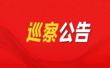 巡察组长述职述廉报告7篇
