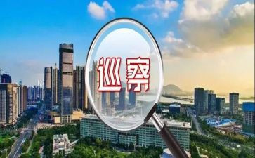 巡察组长2024年工作总结6篇