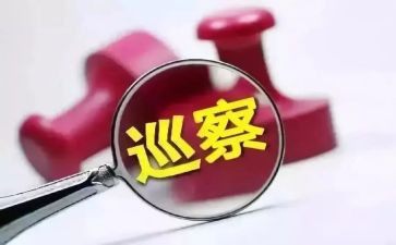 2024村巡察述职报告8篇