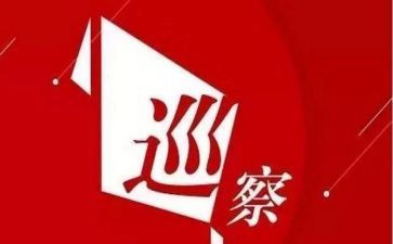 事巡查组个人总结5篇