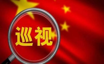 巡查个人总结范文7篇