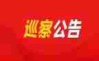 巡察组长述职述廉报告7篇