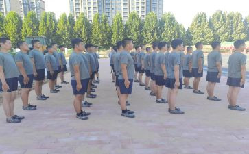 驾驶培训学习心得体会8篇