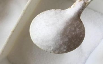 盐文化活动方案推荐6篇