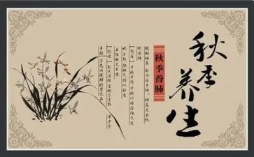 有养生的心得体会7篇