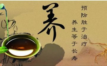 养生茶心得体会5篇