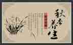 有养生的心得体会7篇