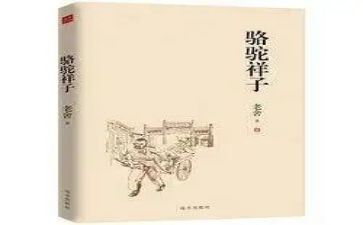 青春的样子作文5篇