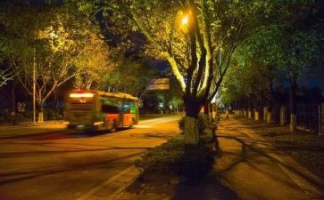 夜大毕业生登记表自我鉴定5篇