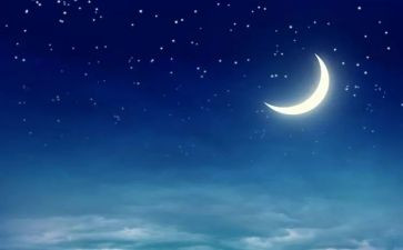 读子夜的心得体会7篇