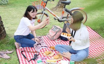 野餐活动等活动方案7篇