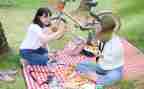 野餐活动等活动方案7篇