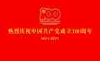 2024年建党一百周年思想汇报5篇
