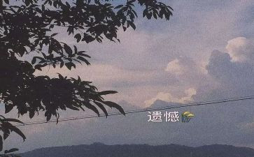 遗憾的作文500字作文6篇