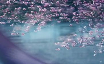 一季度的工作总结推荐8篇