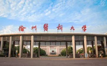 2024年中医科述职报告6篇