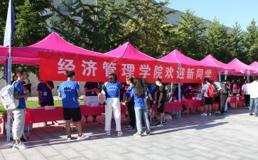 迎新晚会策划活动方案8篇