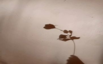 大影子小影子教案5篇