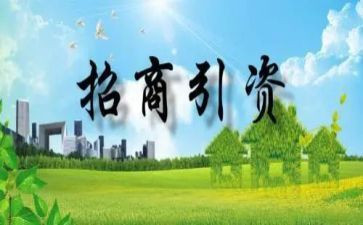 村招商引资工作计划精选5篇