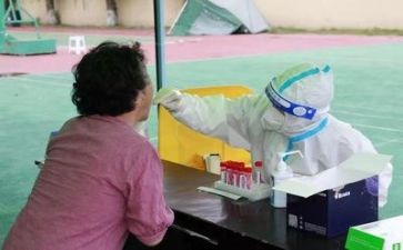 2024医务科工作总结最新6篇