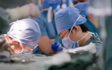 医院医务科个人年度总结6篇