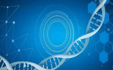 医学生毕业自我鉴定500字5篇