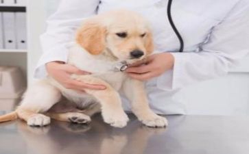 医院总结个人总结精选7篇
