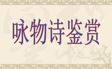 咏物作文最新7篇