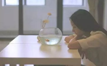 写个人工作优点的个人总结6篇