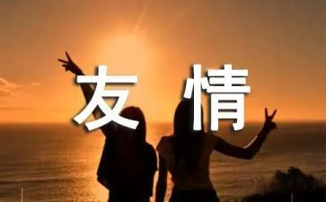 友情作文800字模板6篇