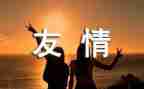 有关于友情的作文参考8篇
